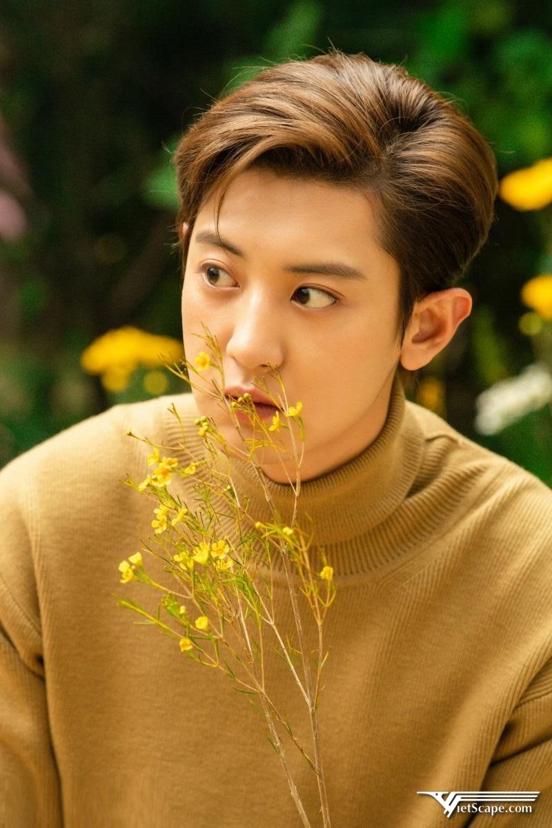 Một số hình ảnh về Chanyeol