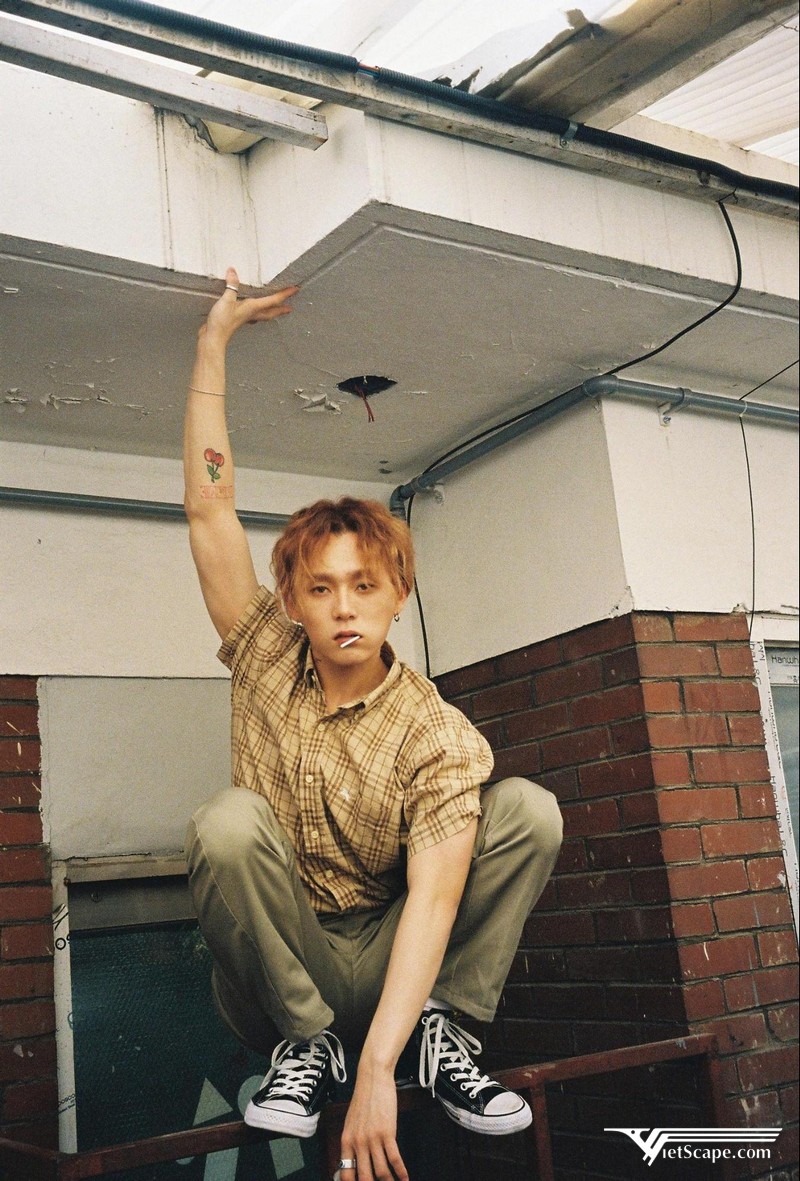 Một số hình ảnh về E'Dawn