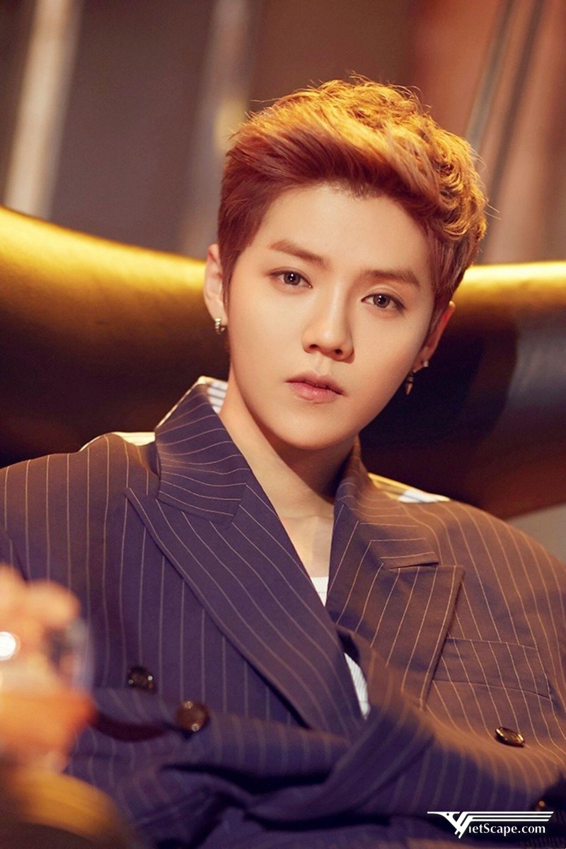 Một số hình ảnh về Luhan