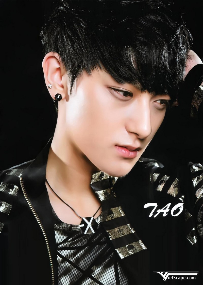 Tao EXO được một người bạn ủng hộ tham gia thử giọng cho “MBC Star Audition” ở Thanh Đảo vào cuối năm 2010