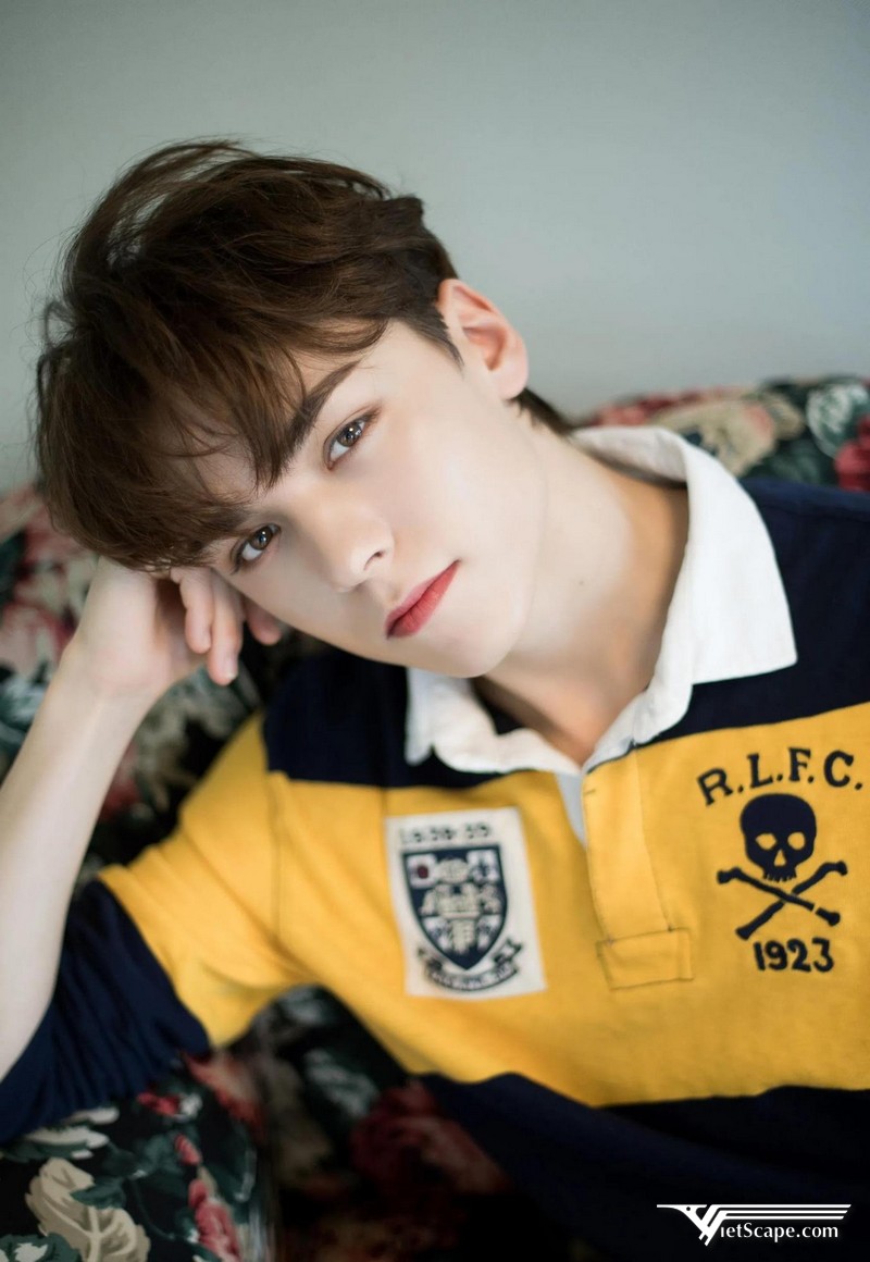 Phong cách âm nhạc mà Vernon Seventeen theo đuổi là Rap, R&B và Hip-Hop