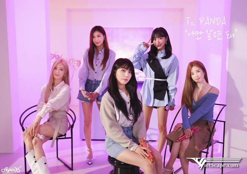 Tên nhóm “Apink” được ghép từ “A” đến từ tên công ty “Plan A Entertainment” và “Pink”tức “màu hồng”