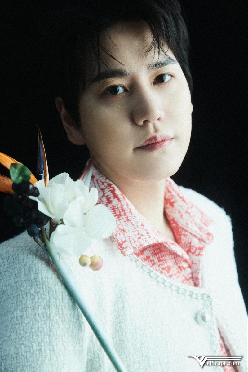 Kyuhyun Super Junior ra mắt Solo với Album “At Gwanghwamun” từ năm 2014 - 2015