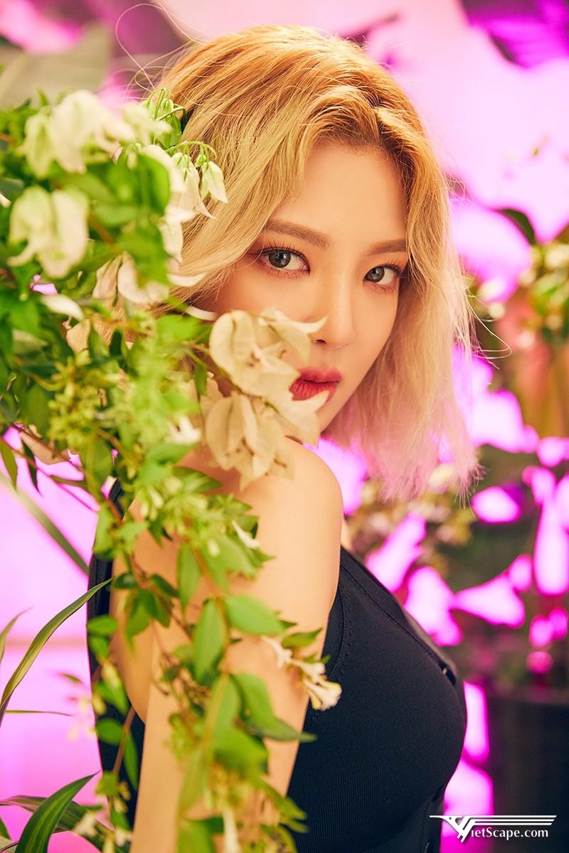 Tin đồn hẹn hò giữa Hyoyeon Girl's Generation và Kim Jun Hyung