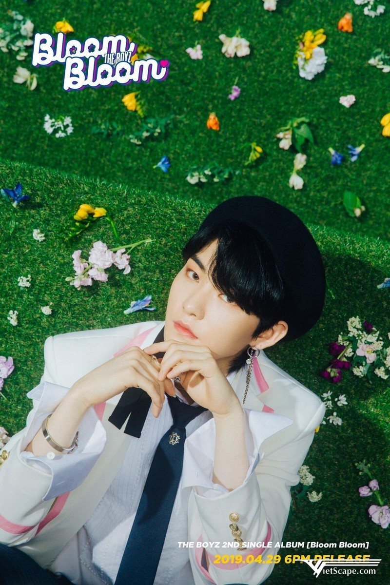 Hwall ra mắt cùng nhóm nhạc nam The Boyz từ năm 2017 – 2019