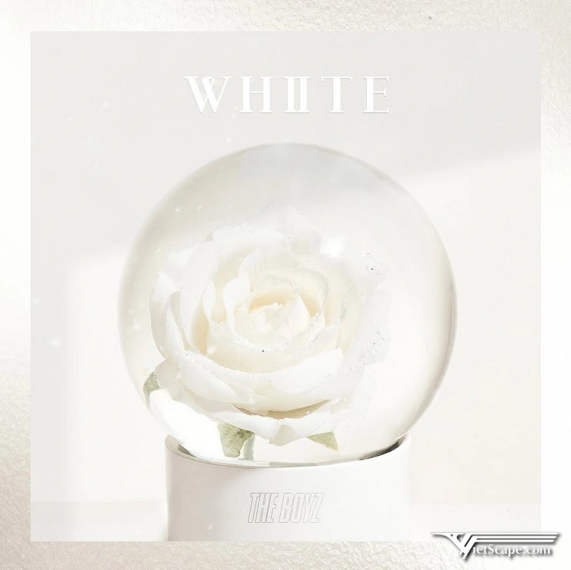 Special Single “화이트 (White)” - Ngày 06/12/2019