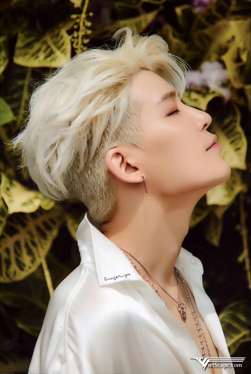 Sunghoon tái hợp cùng nhóm nhạc Sechskies và rời đi từ năm 2016 - nay